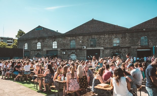 Bingo Lingo Friday Summer BBQ Special | Data Thistle