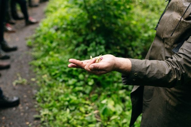 Forage & Cookery | Data Thistle