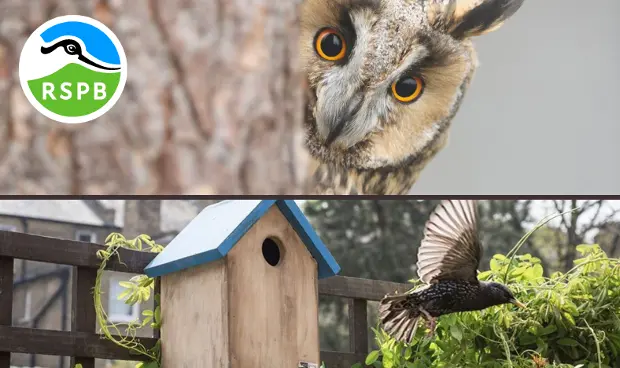 The RSPB at the Land of Oak & Iron | Data Thistle